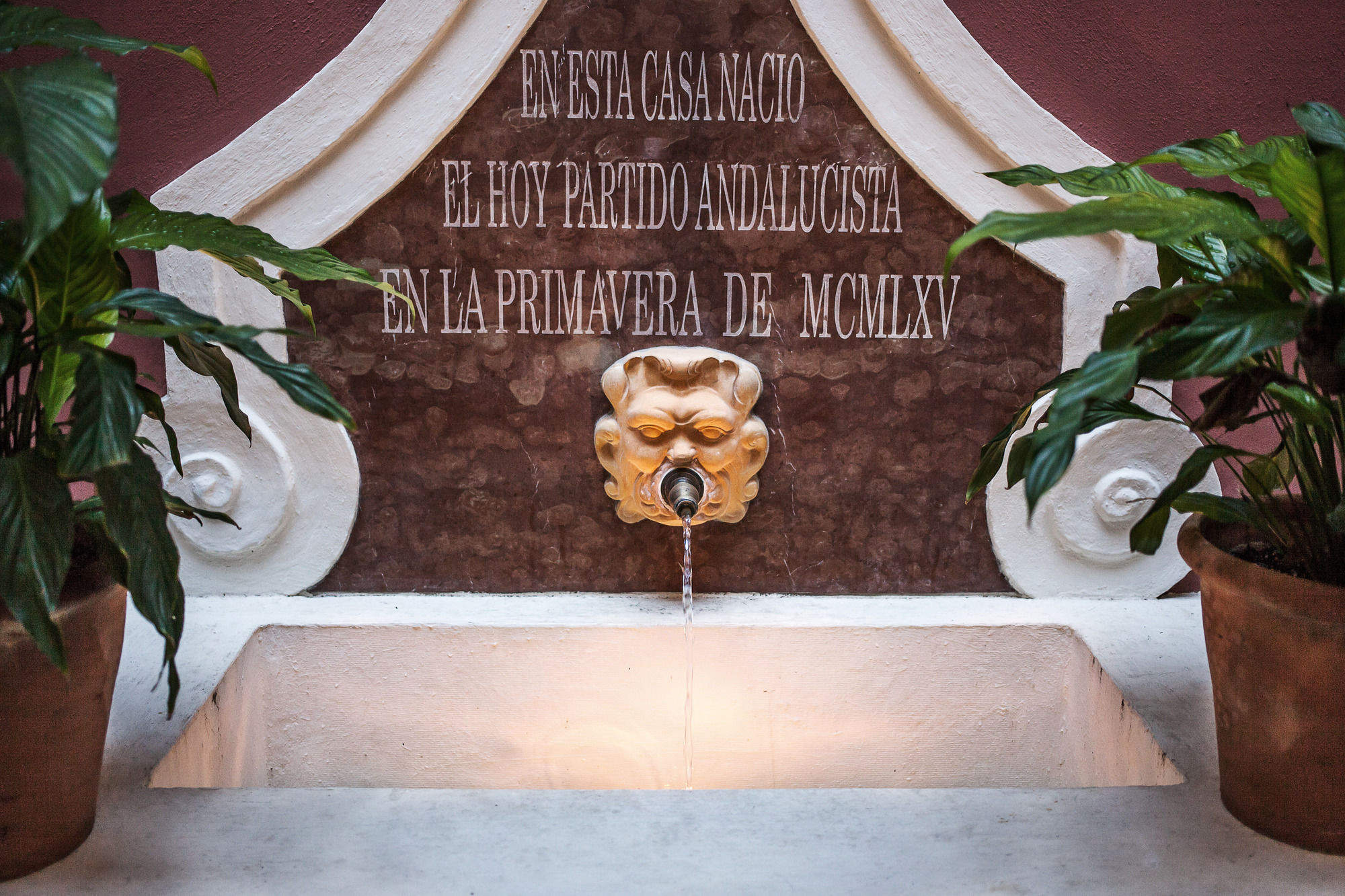 Фото Hotel Las Casas de El Arenal