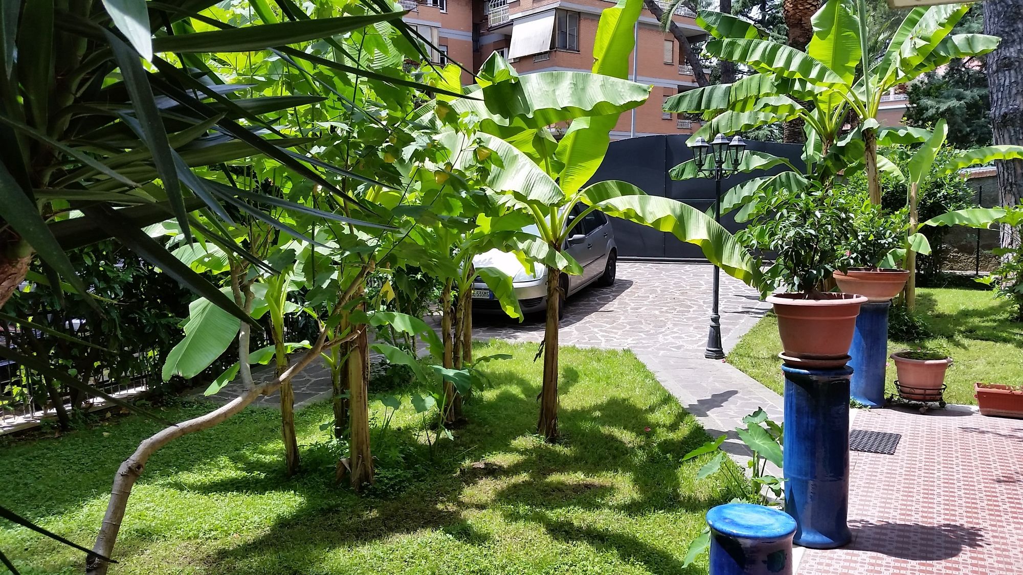 Фото Il Giardino di Giulia 2