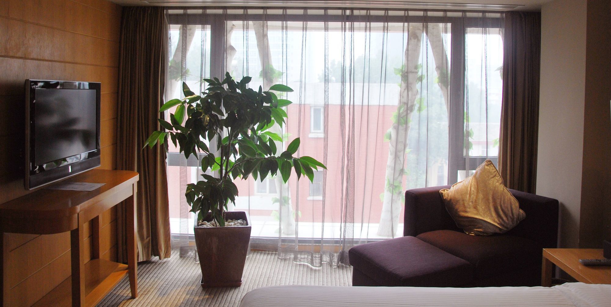 Фото Gotel Capital