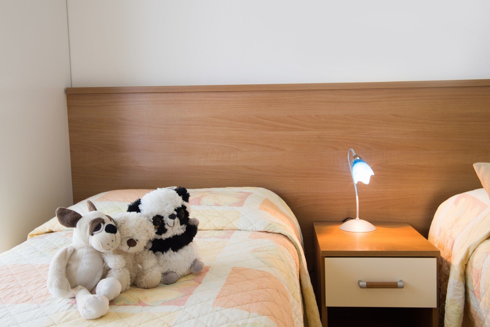 Фото Hotel Venezuela