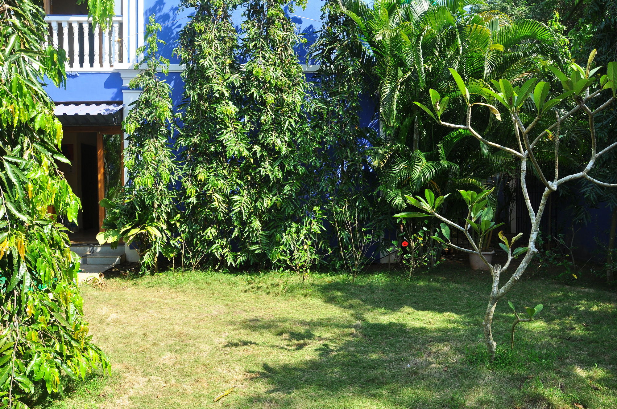 Фото Mayflower Beach Resort
