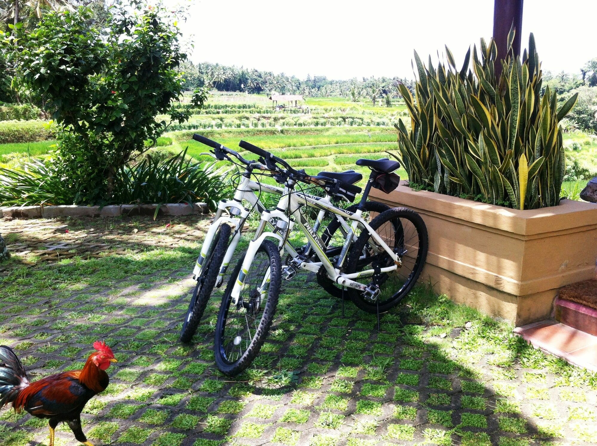 Фото Villa Semana Resort & SPA