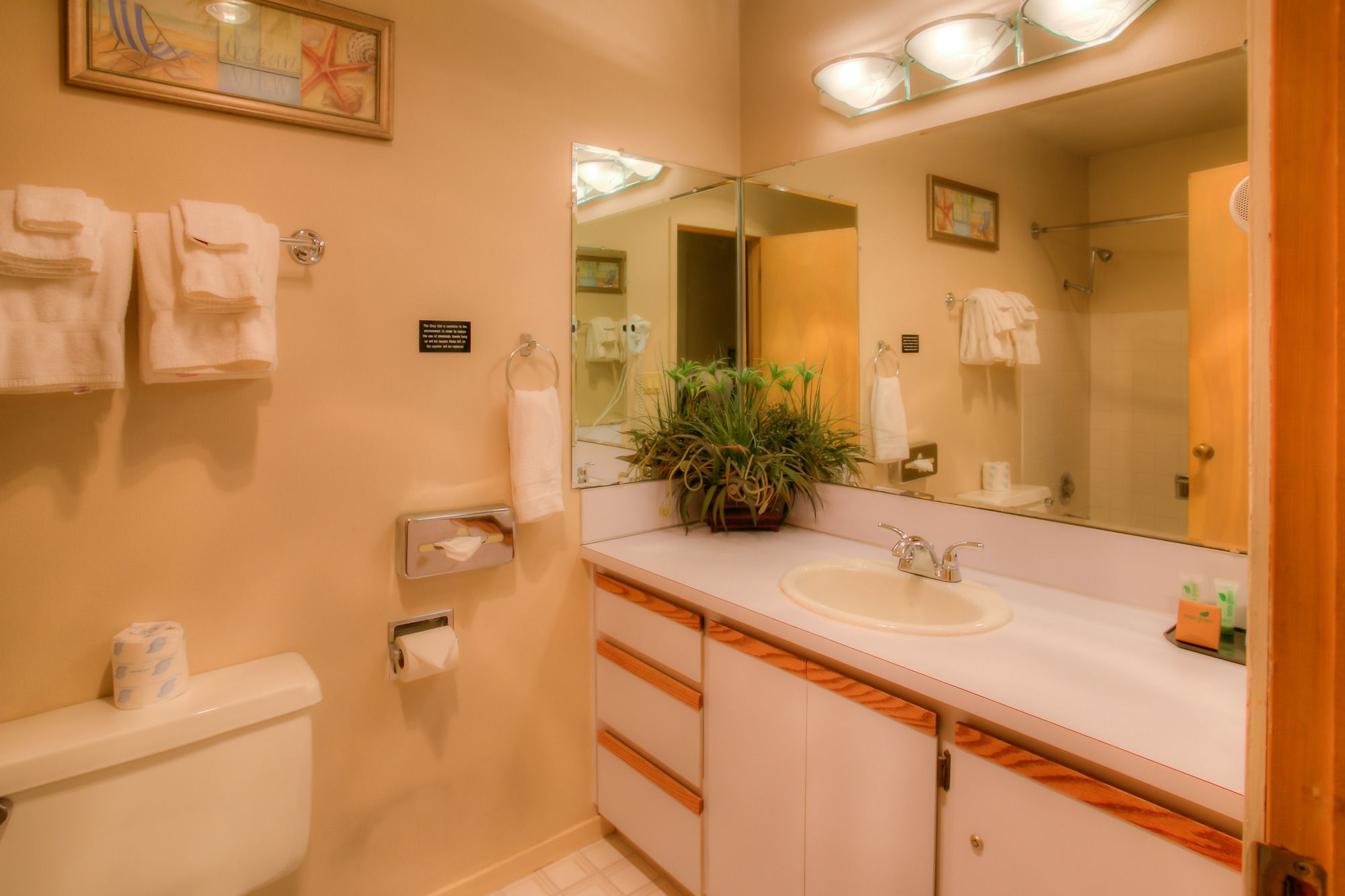 Фото The Grey Gull