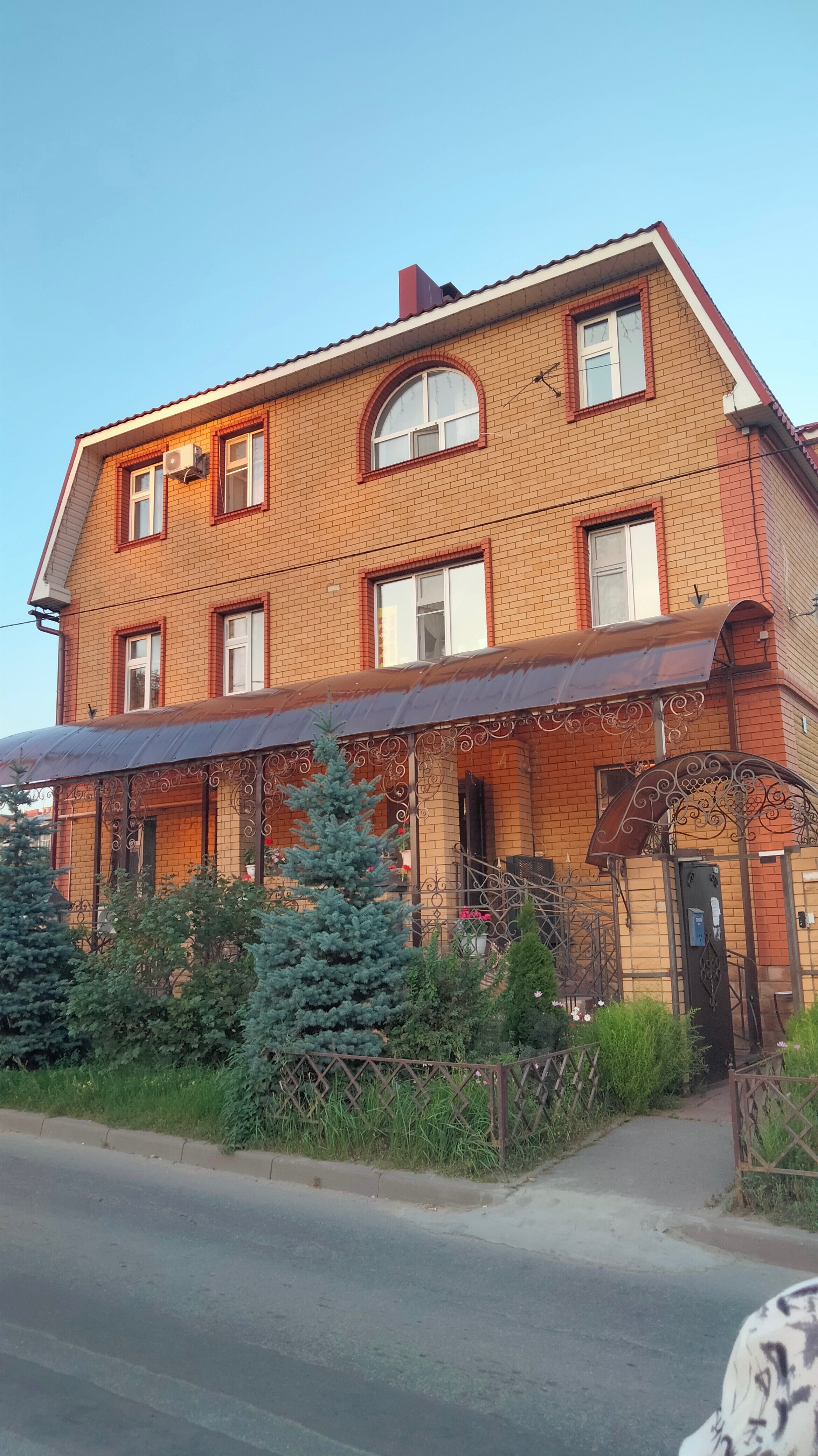 Фото Лечебная