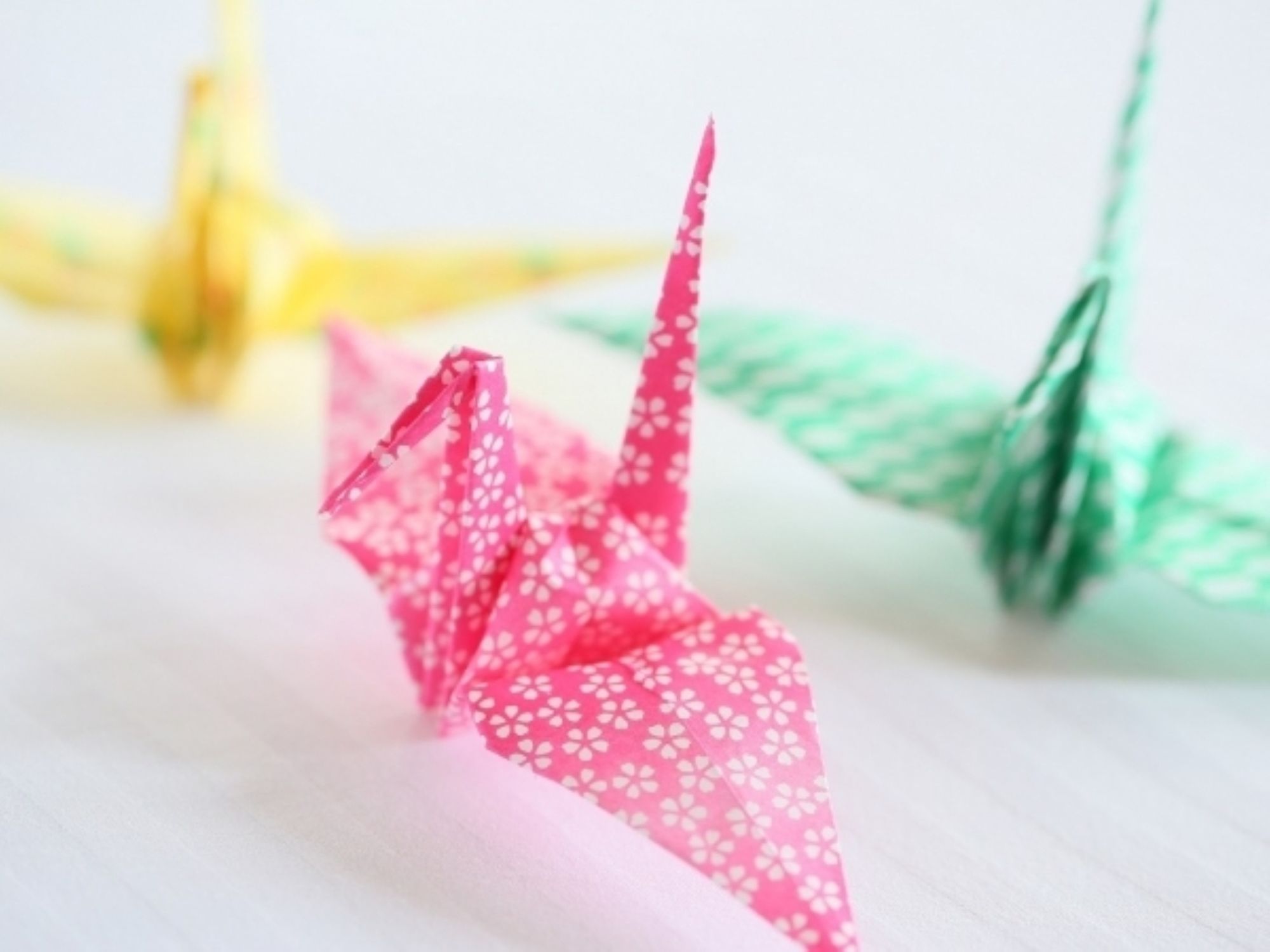 Фото Apa Hotel Kanazawa Nishi