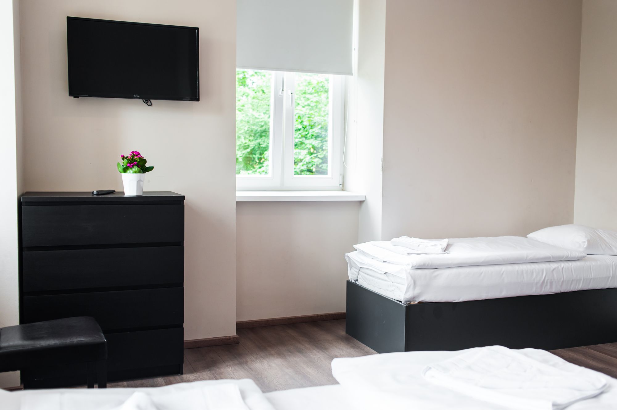 Фото 74096153929