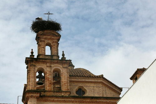 Гостиница Hotel Convento Aracena & SPA