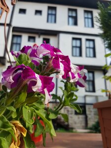 Гостиница Kastamonu Kadioglu Konagi