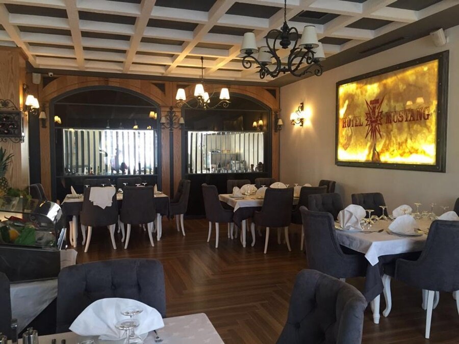 Фото Mustang hotel Tirana