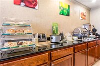 Фото Quality Inn & Suites Durant