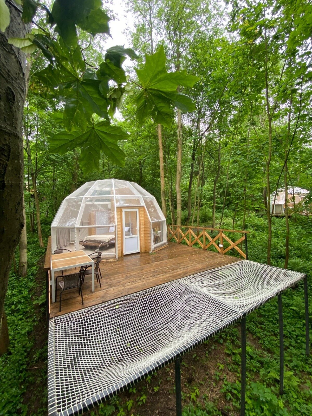 Фото Клевер