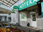 Panatseya (Tambov, Michurinskaya Street, 141) ، صيدلية