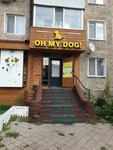 Oh my dog (Abaya Street, 62) ، متجر للحيوانات الأليفة