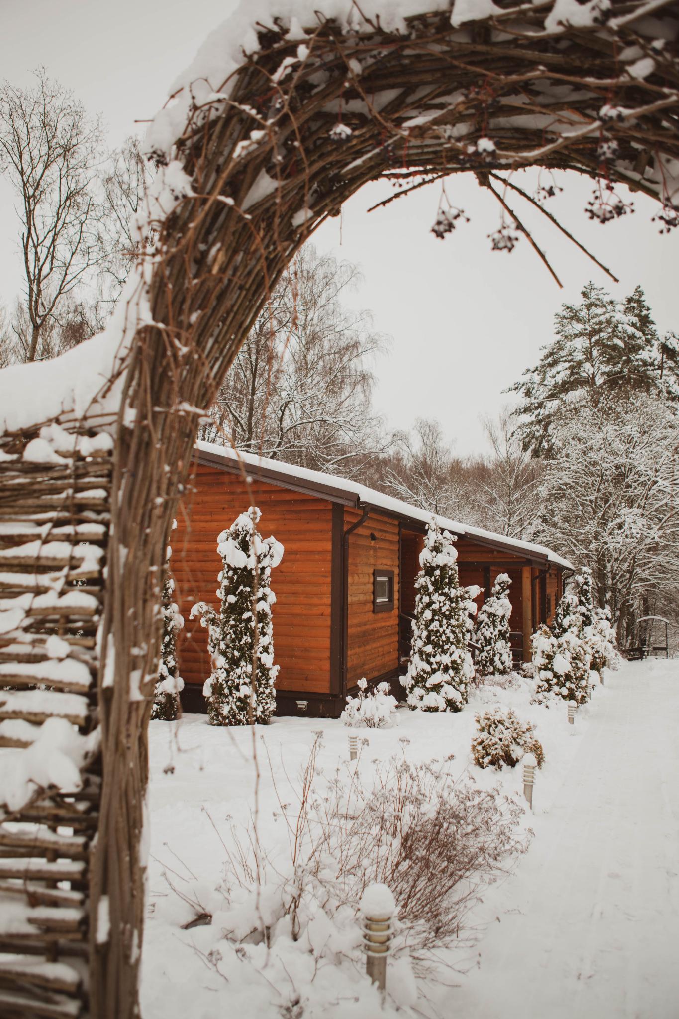 Фото Три медведя