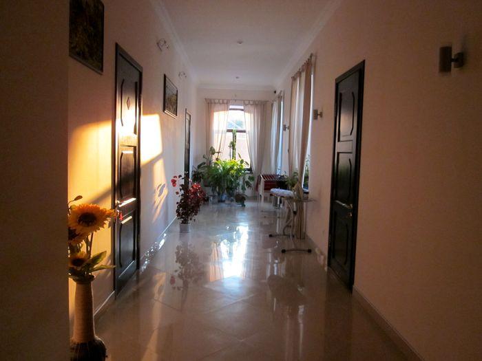 Фото Фроотель