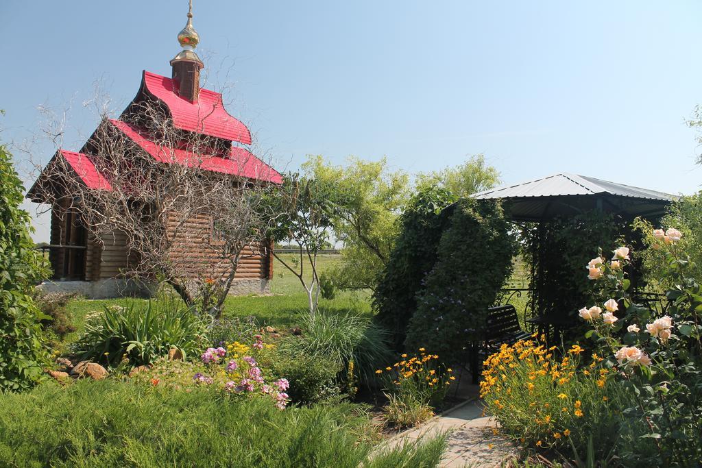 Фото Роза Ветров