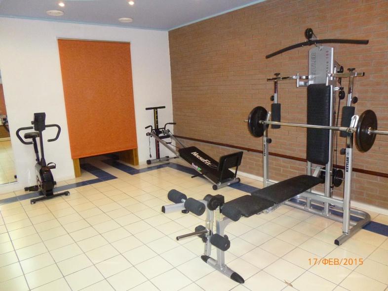 Фото Сосны плюс