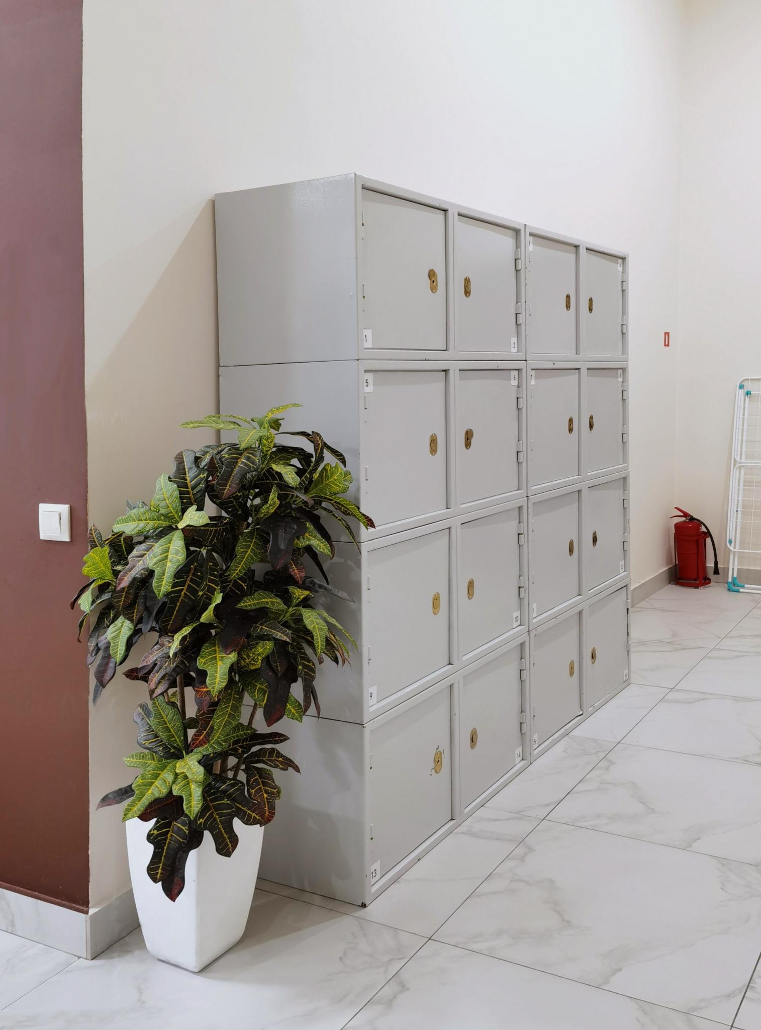 Фото Rадость