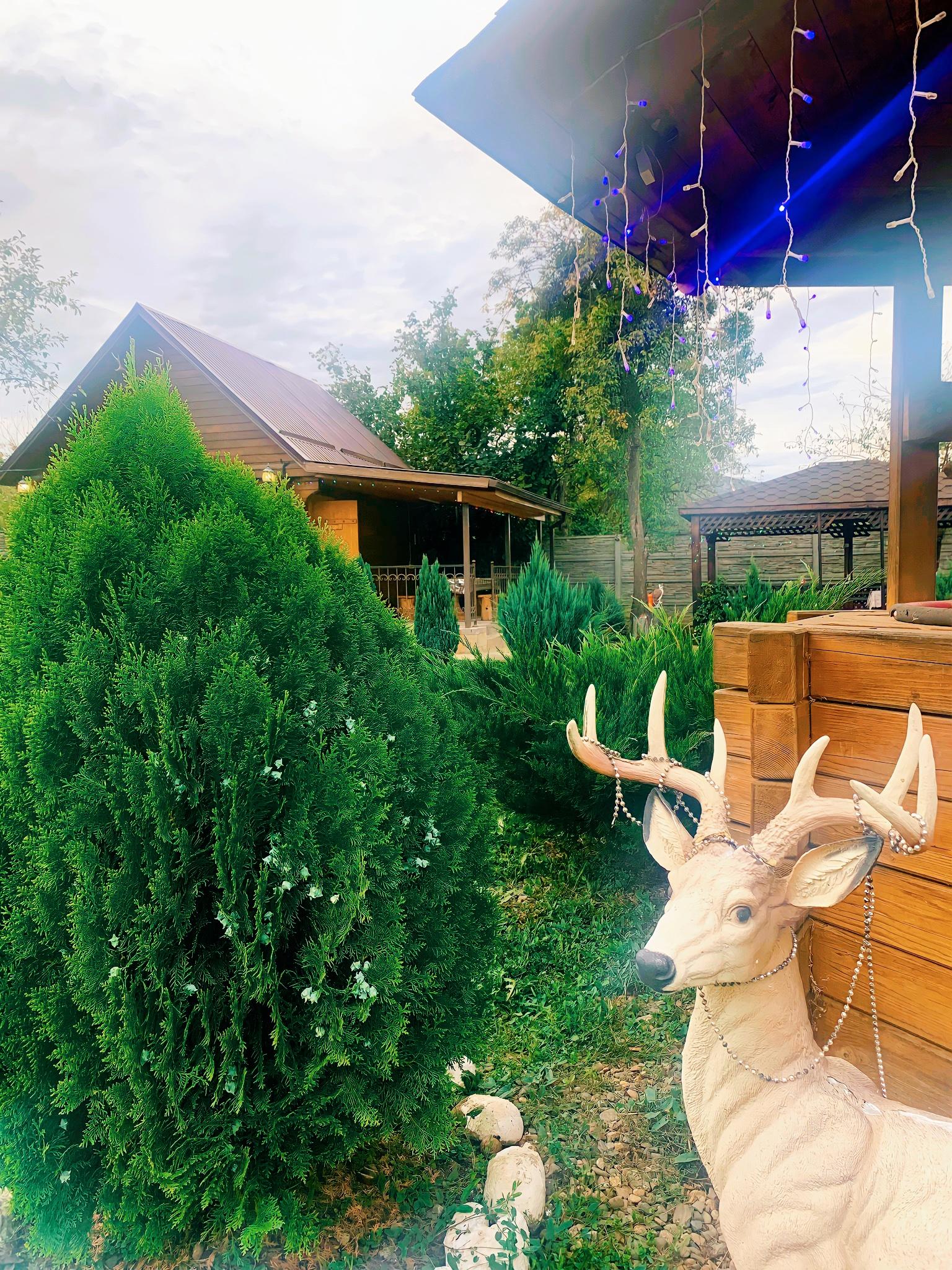 Фото Два брата