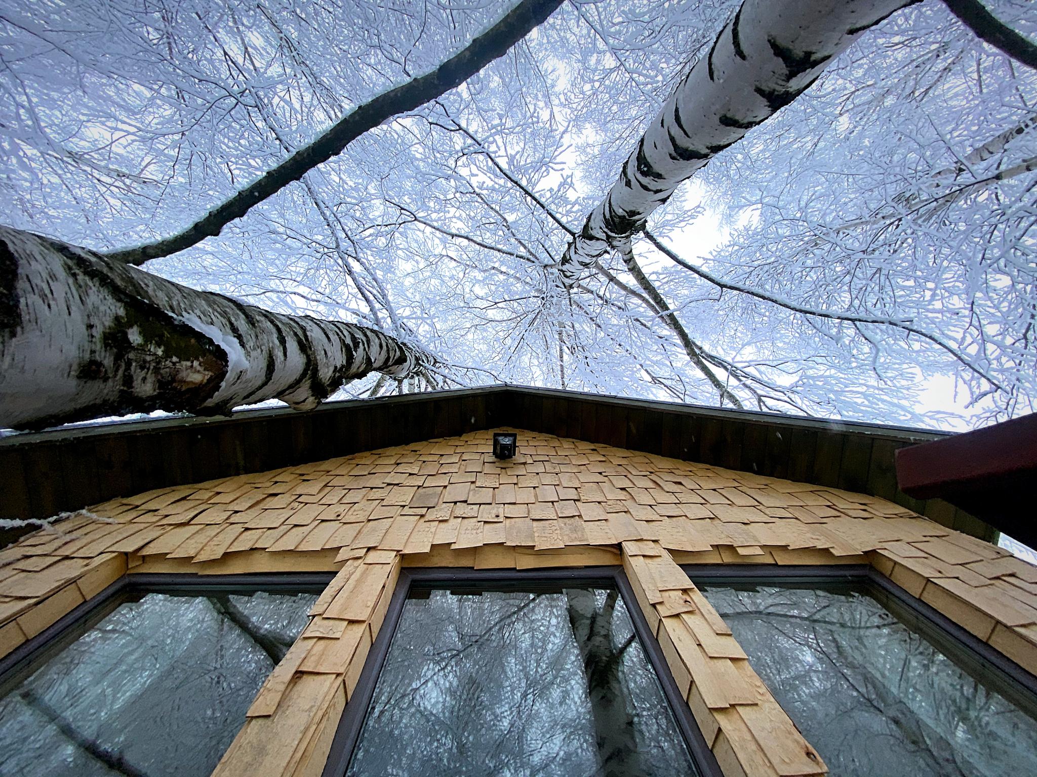 Фото Лапочкино гнездо Дома на деревьях
