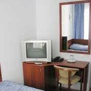 Фото Березка