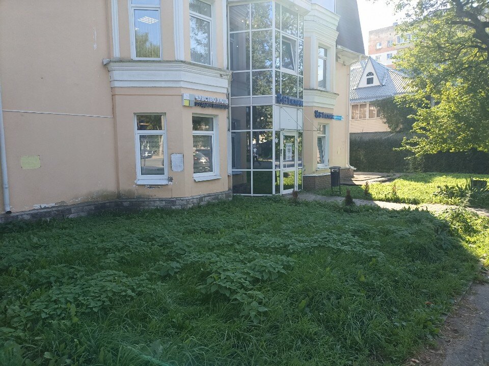 Фото Альгиз