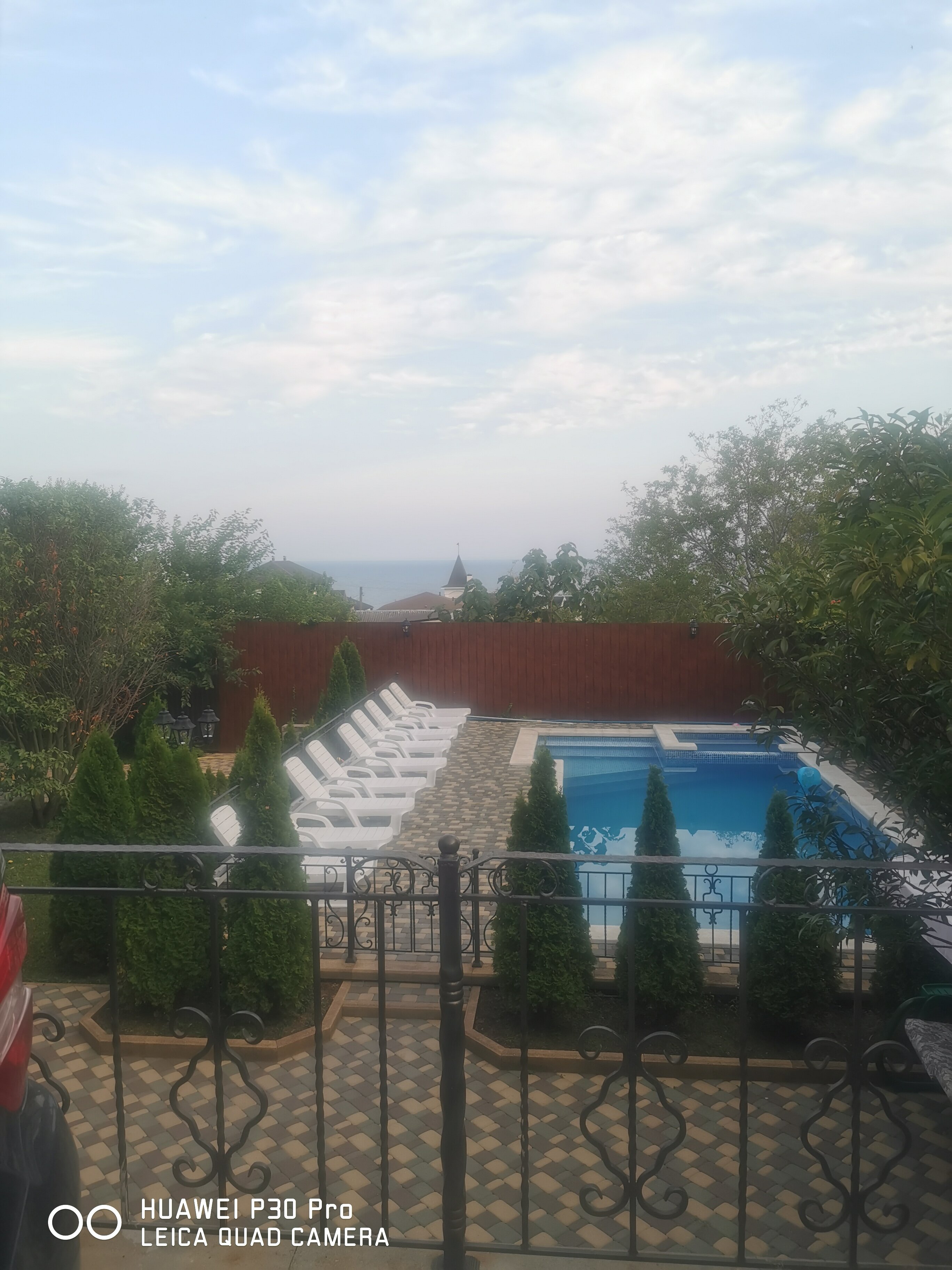 Фото Альбатрос