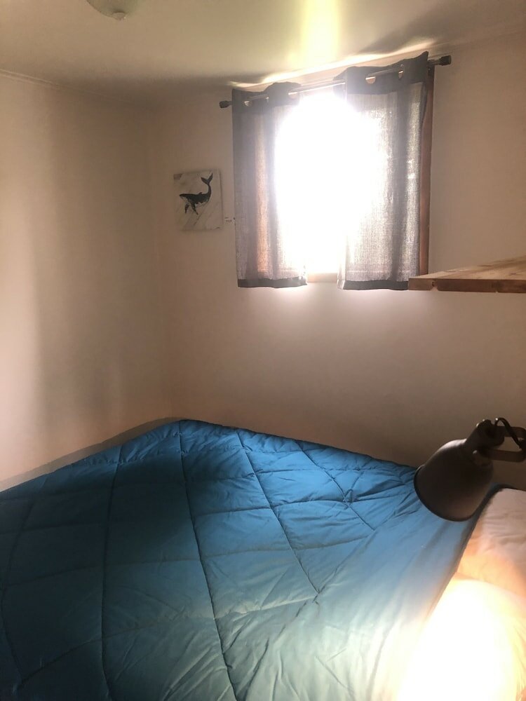 Фото Les chanterelles de Forillon