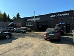 Nv Service (mikrorayon Novaya Derevnya, Institutskaya ulitsa, 15Ас3), car service, auto repair