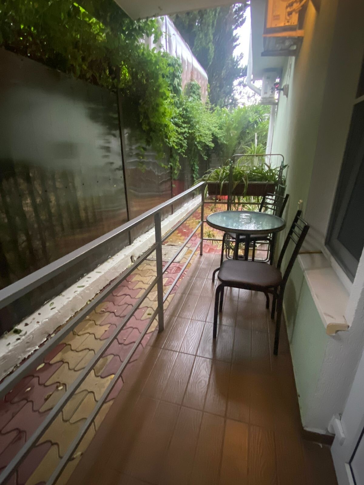 Фото Тростник