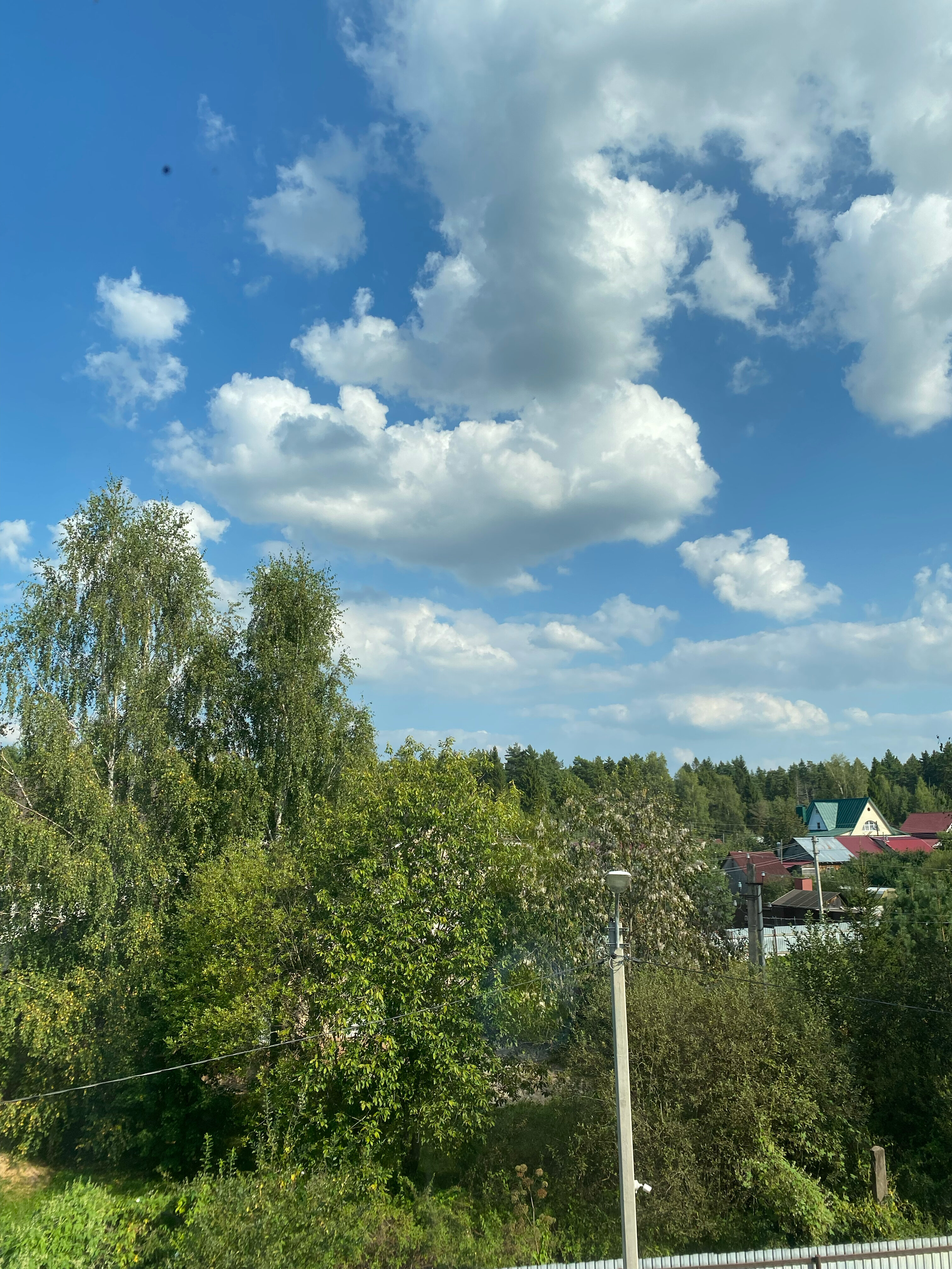 Фото Этилия