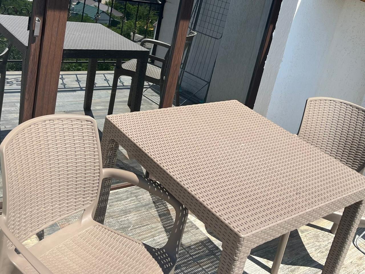 Фото Белый лебедь