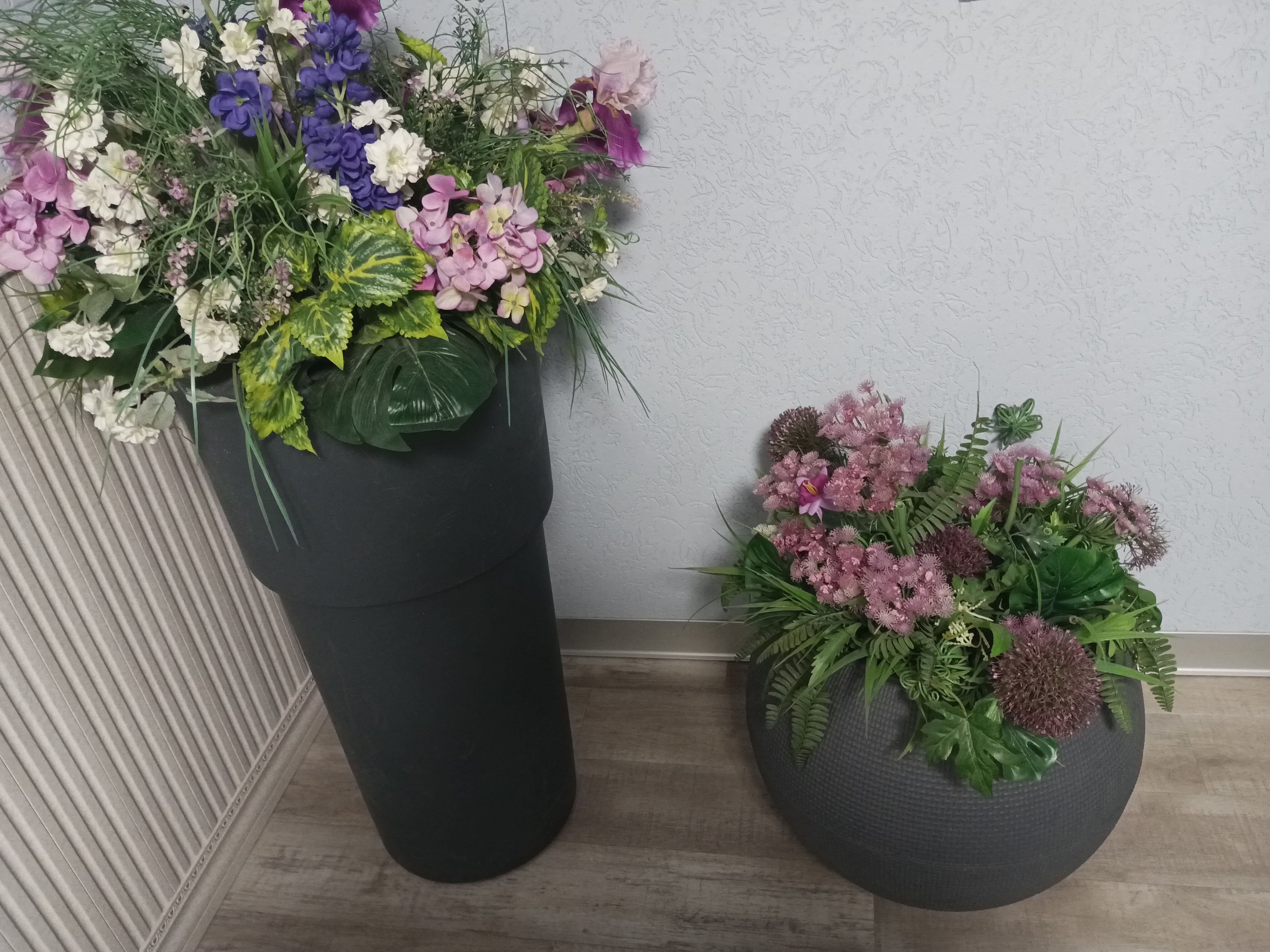 Фото Орхидея