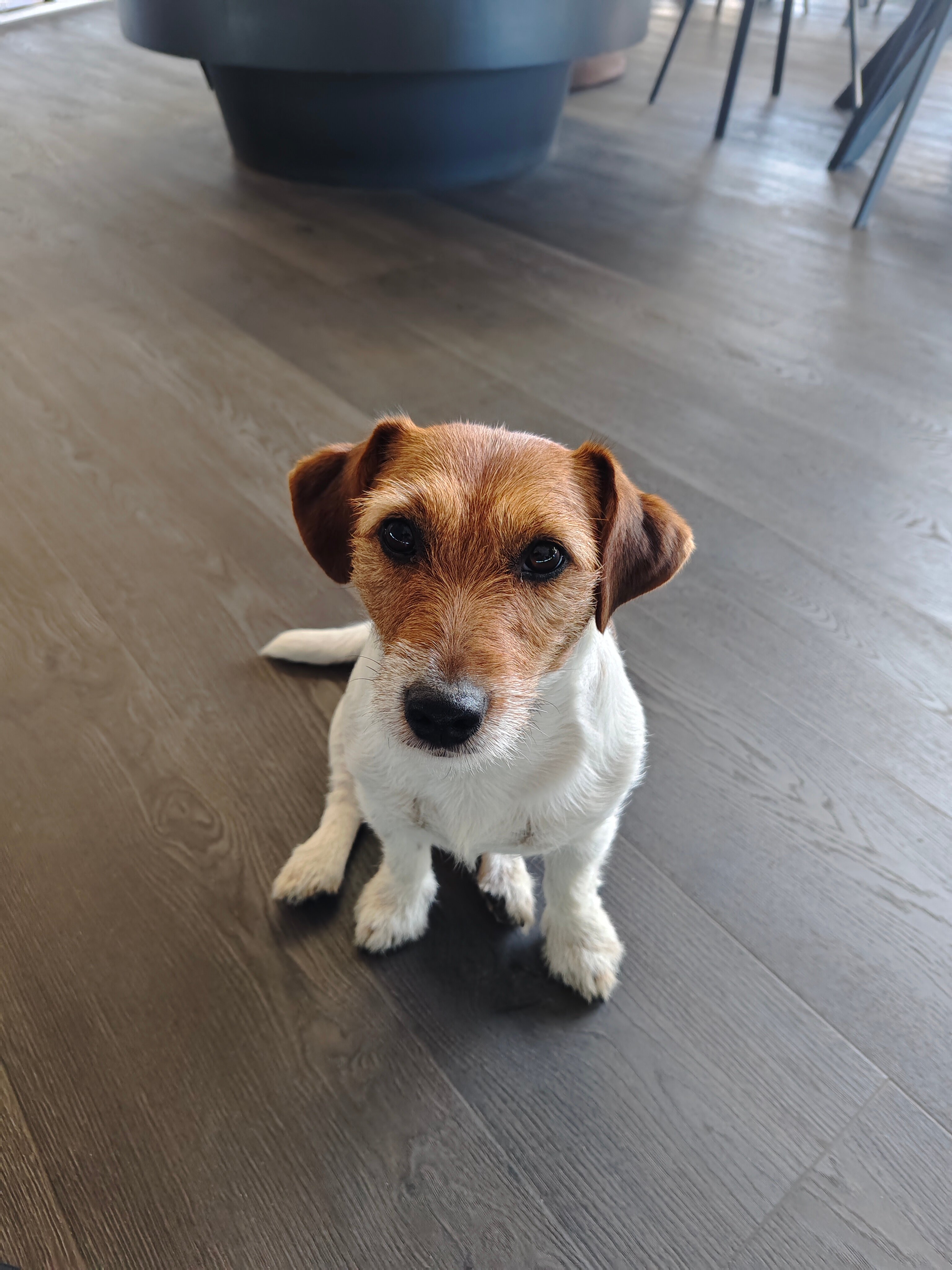 Фото Три воды