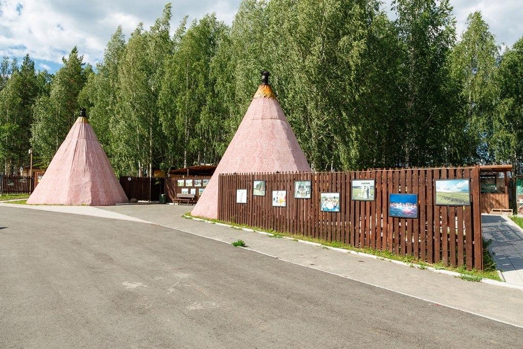 Фото Белая лошадь