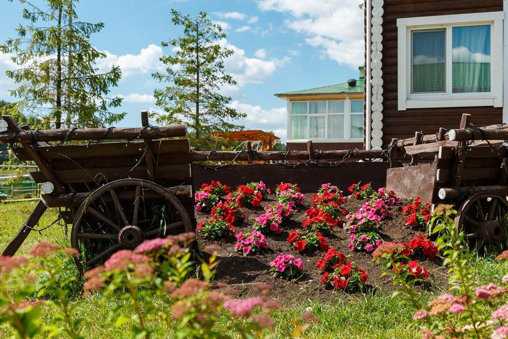 Фото Белая лошадь