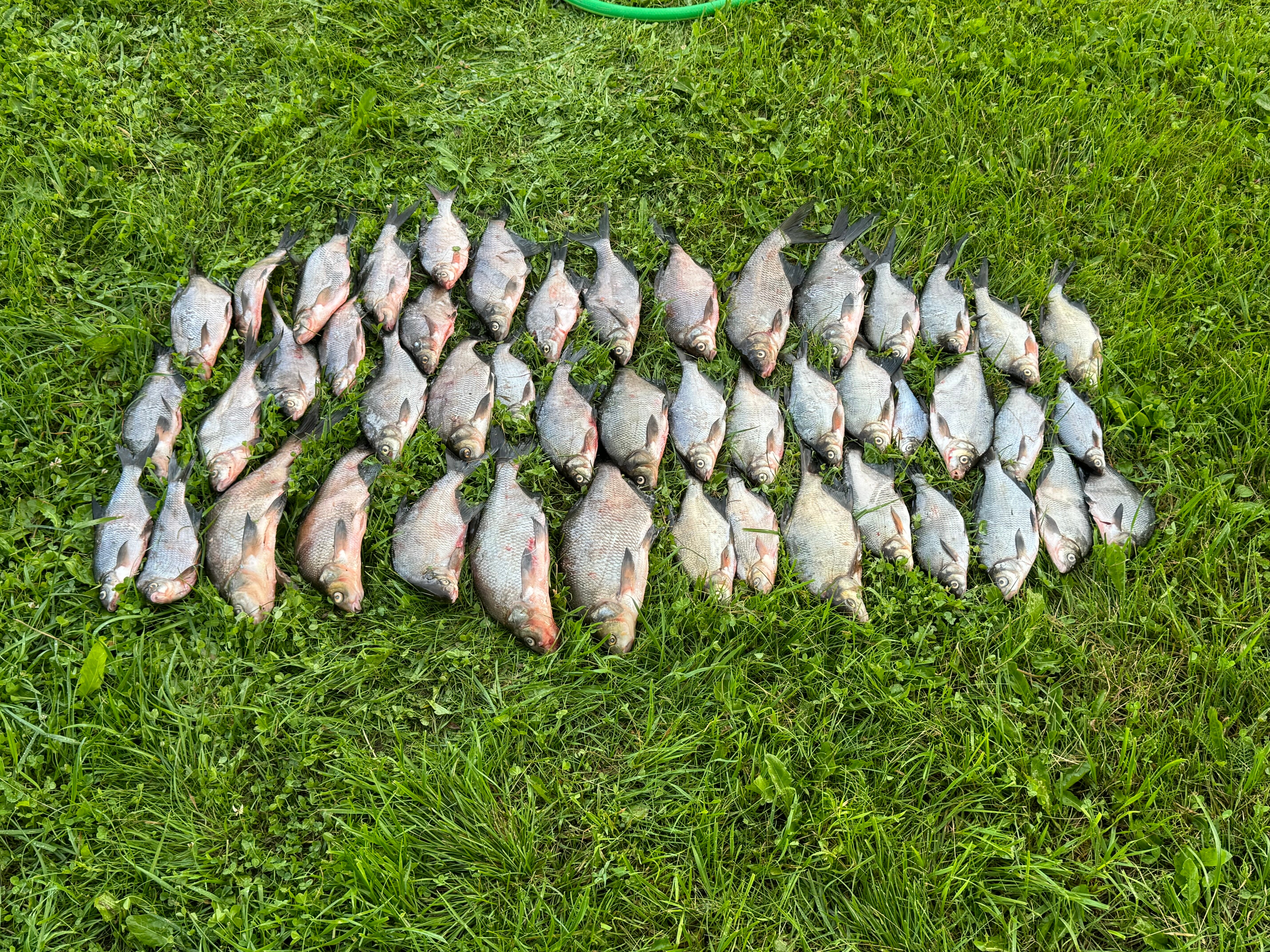 Фото Палуба