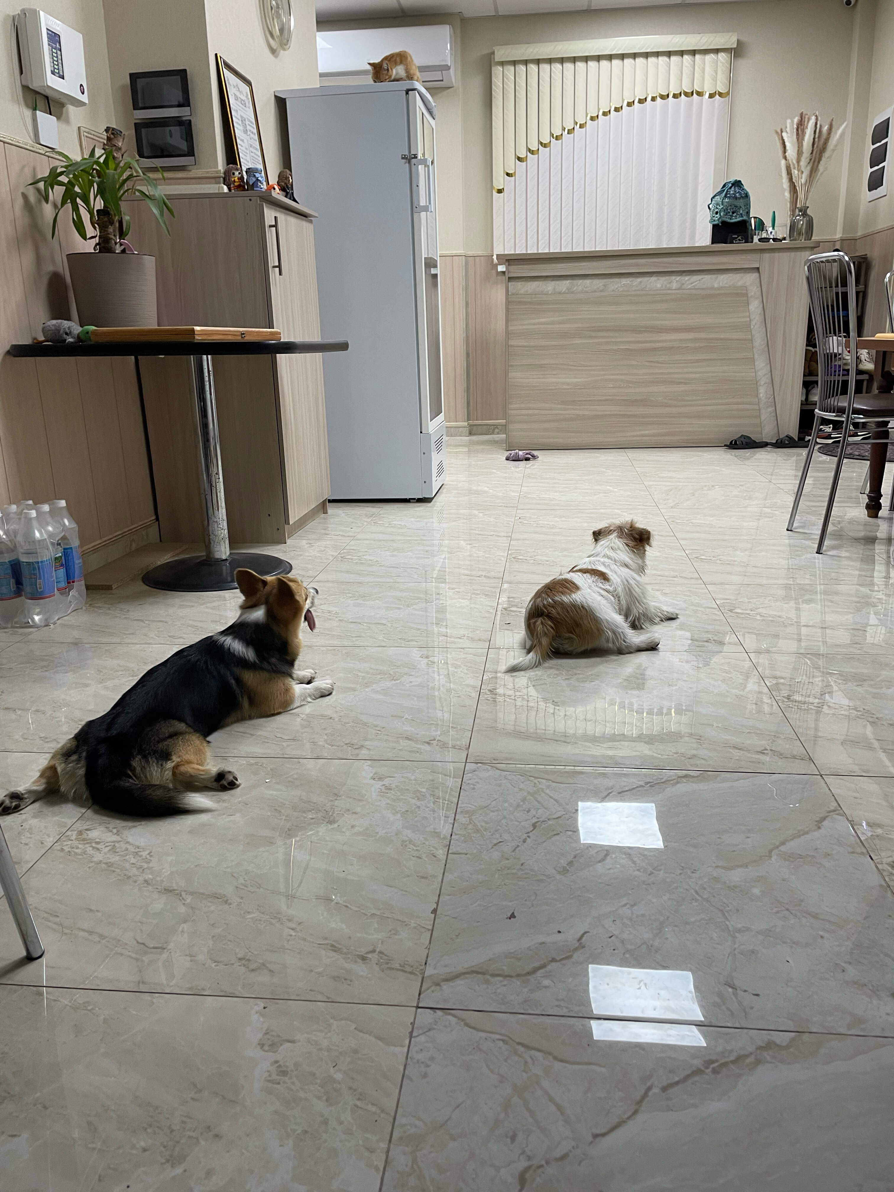 Фото Дом Гостей