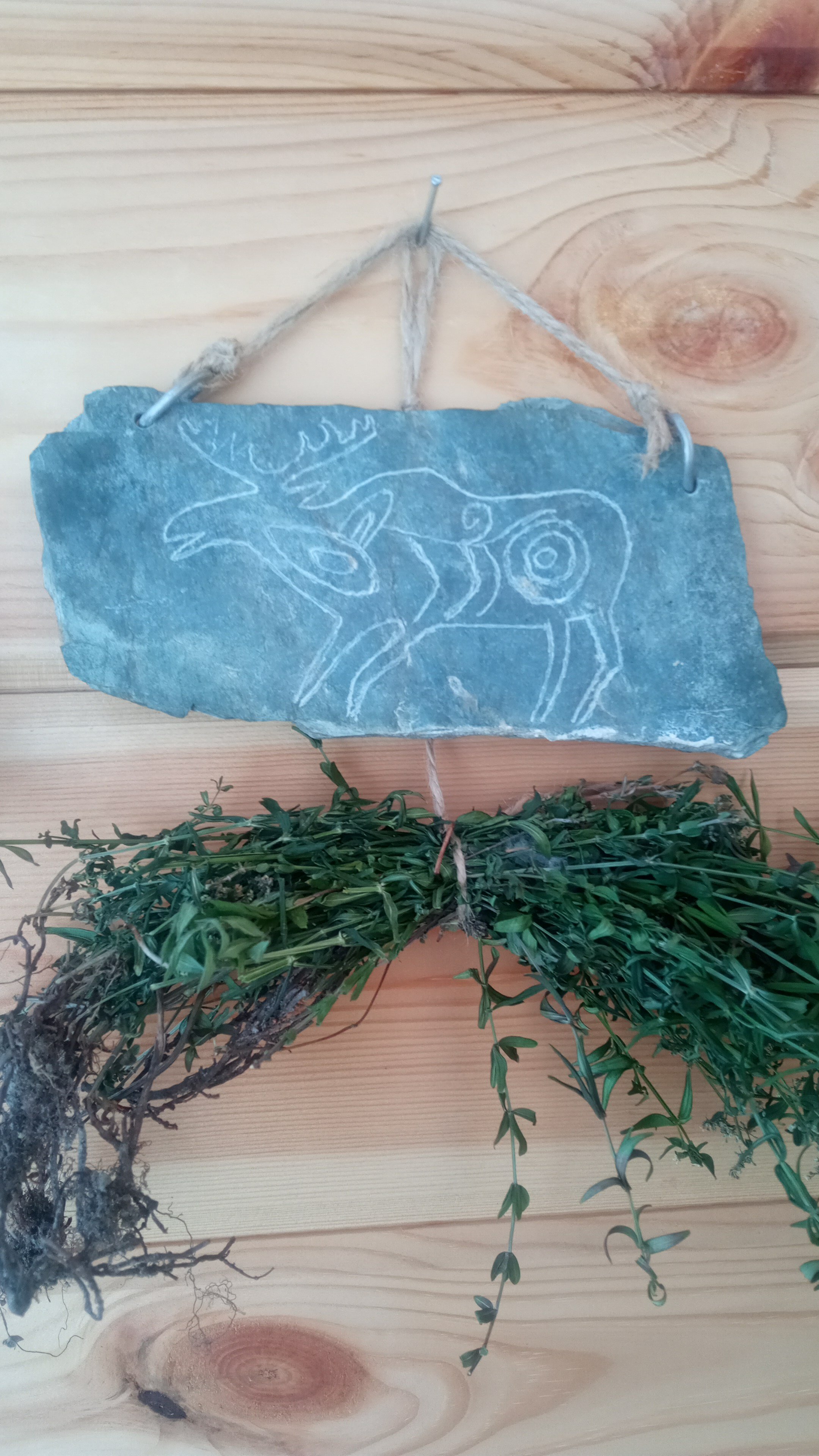 Фото Горный Алтай