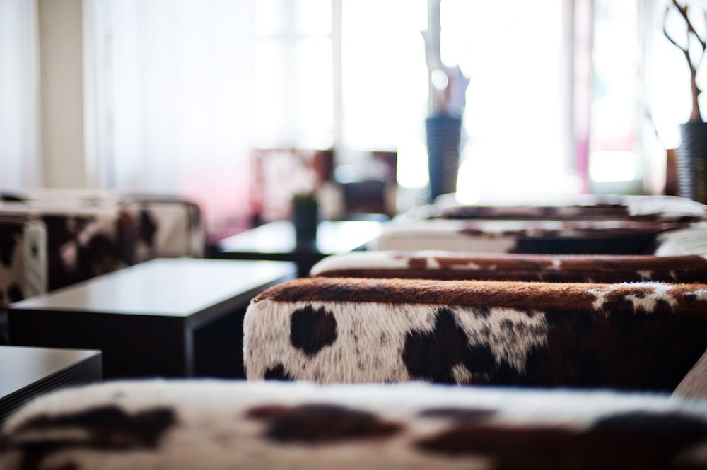 Фото Bristol Hotel Frankfurt