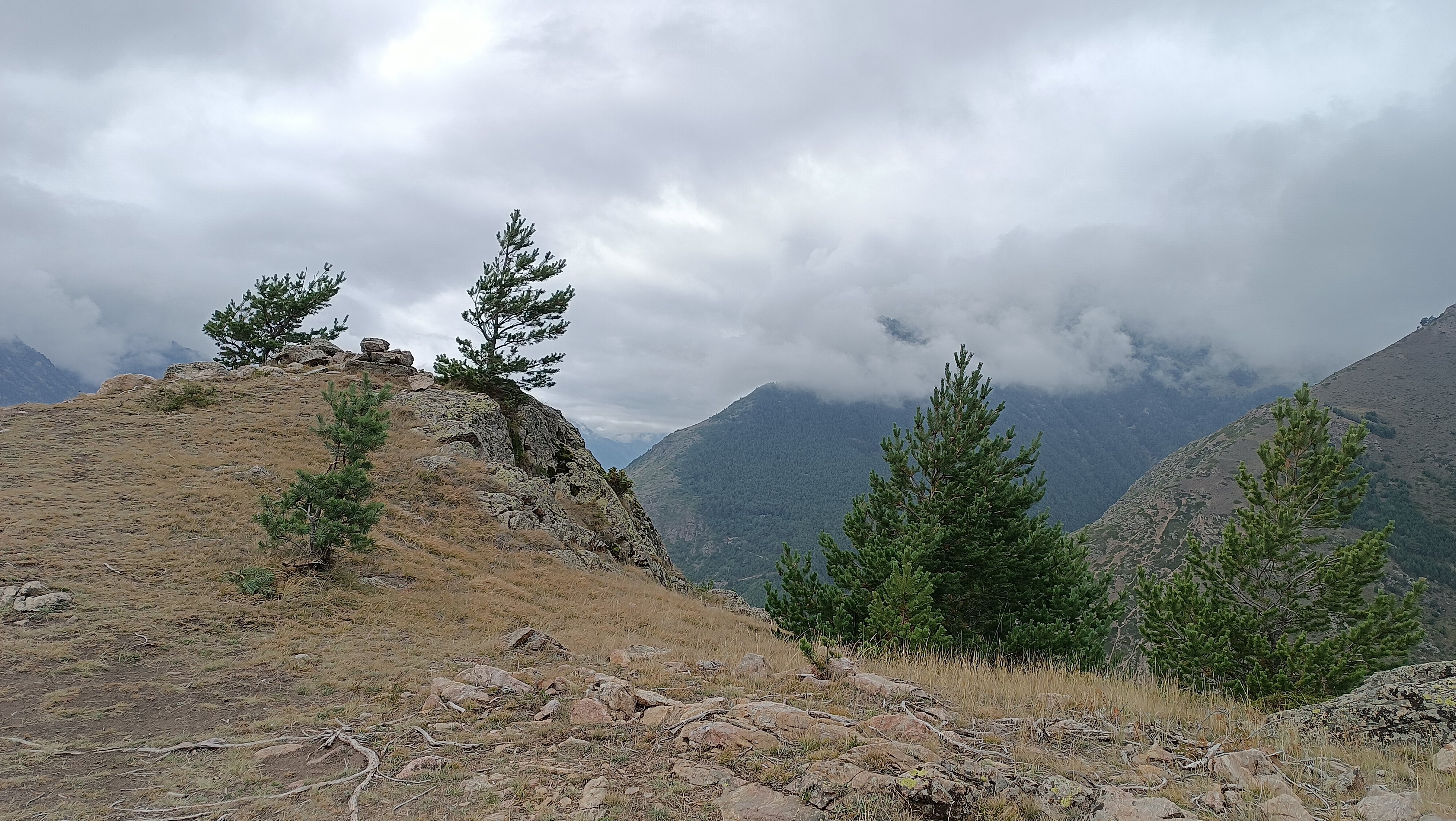 Фото Уллу Эл