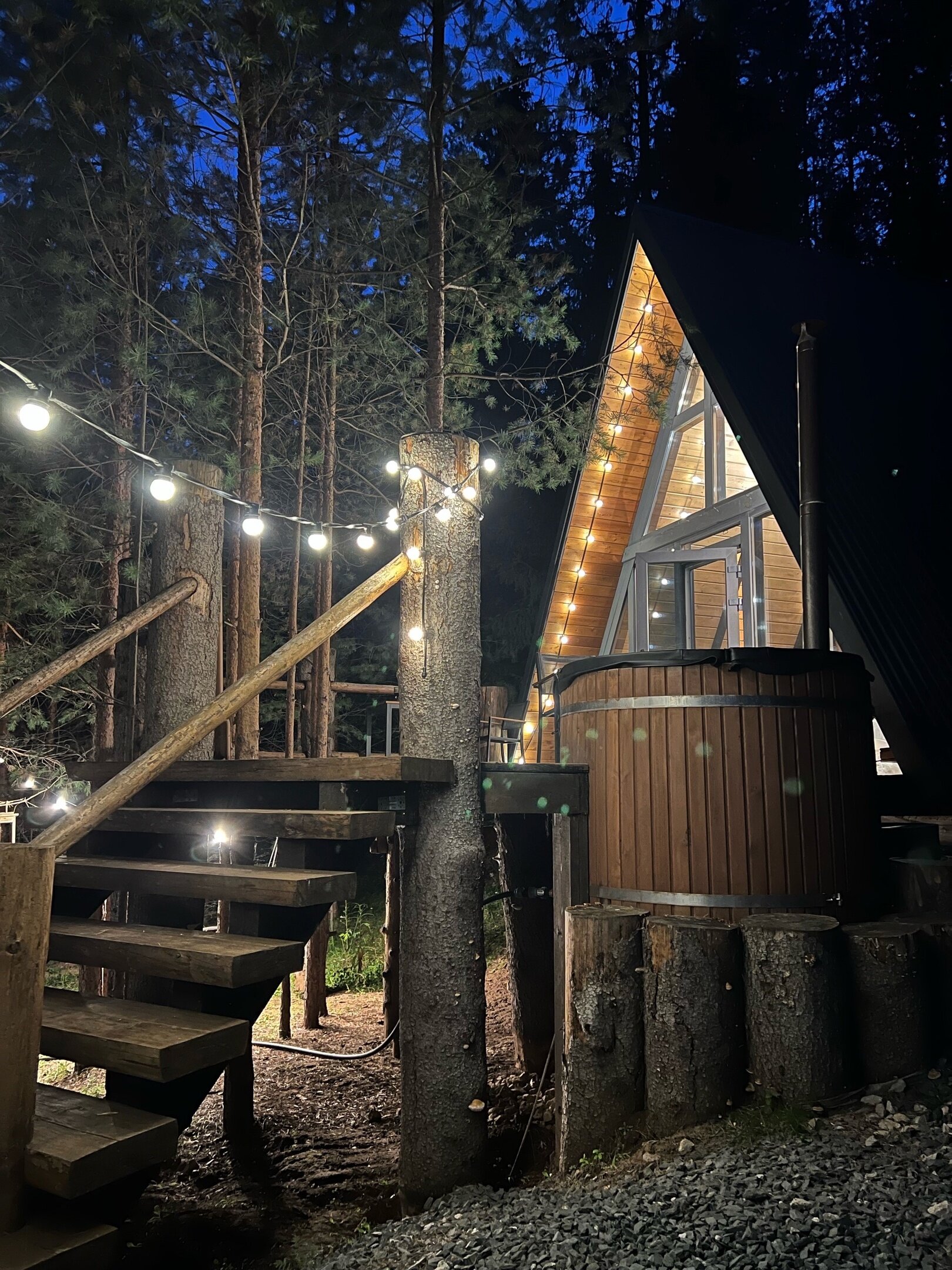 Фото Хвойная Хижина