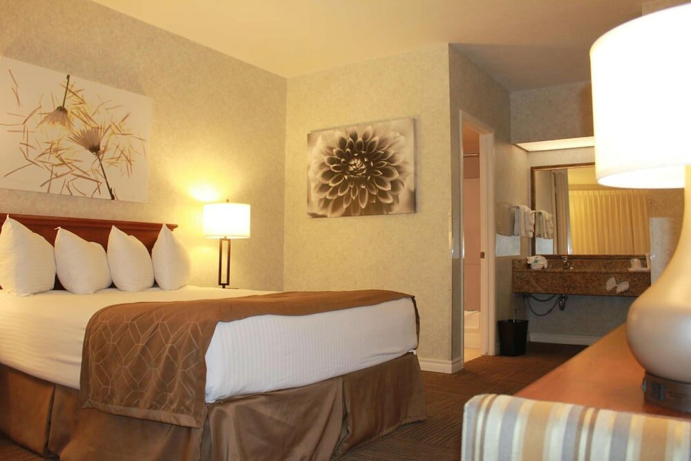 Фото Hotel Del Sol