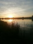 Рыбалка Остров (Lipetsk Region, Gryazinskiy rayon) ، مزارع تربية الأسماك