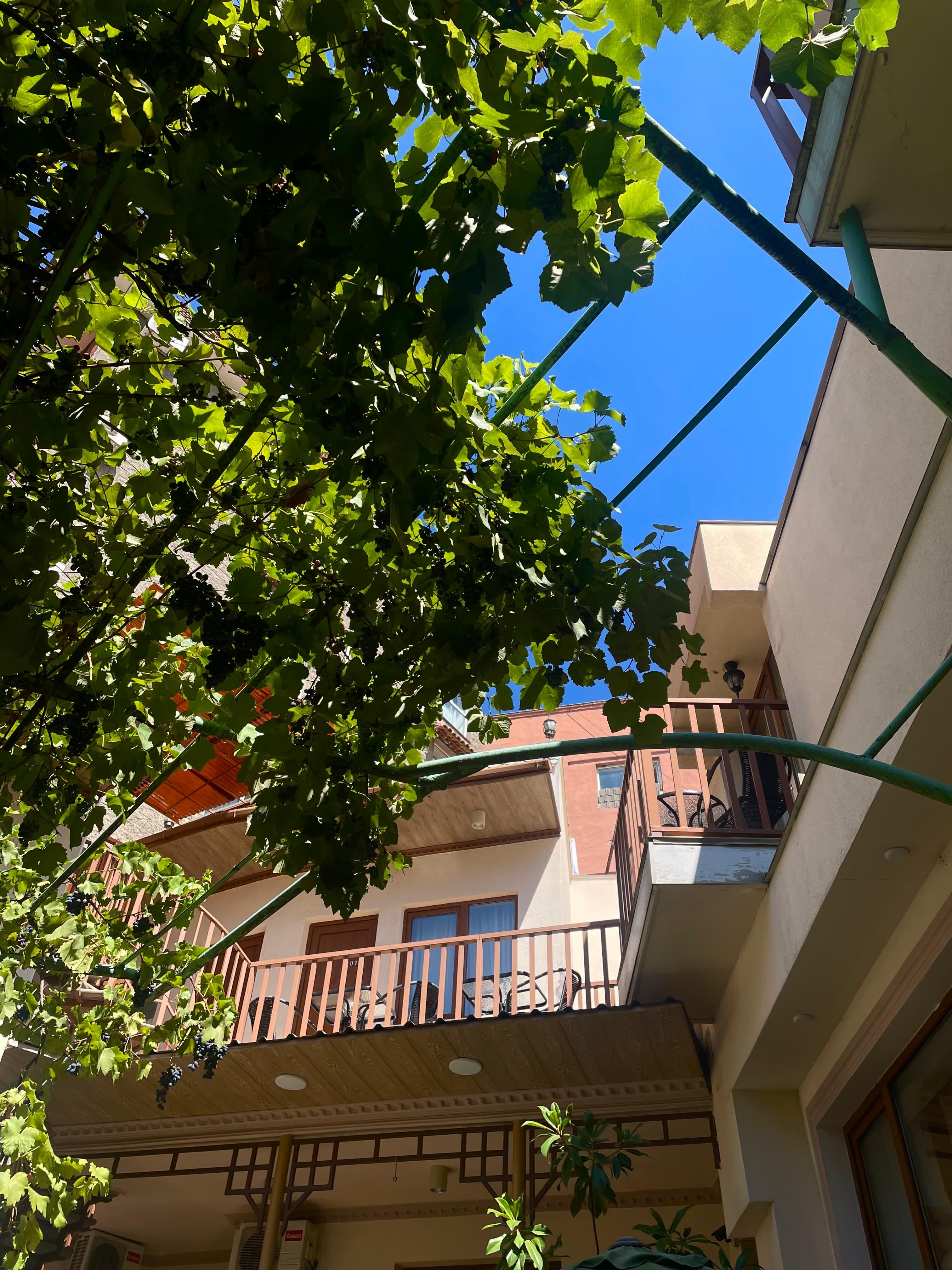 Фото Данисимо