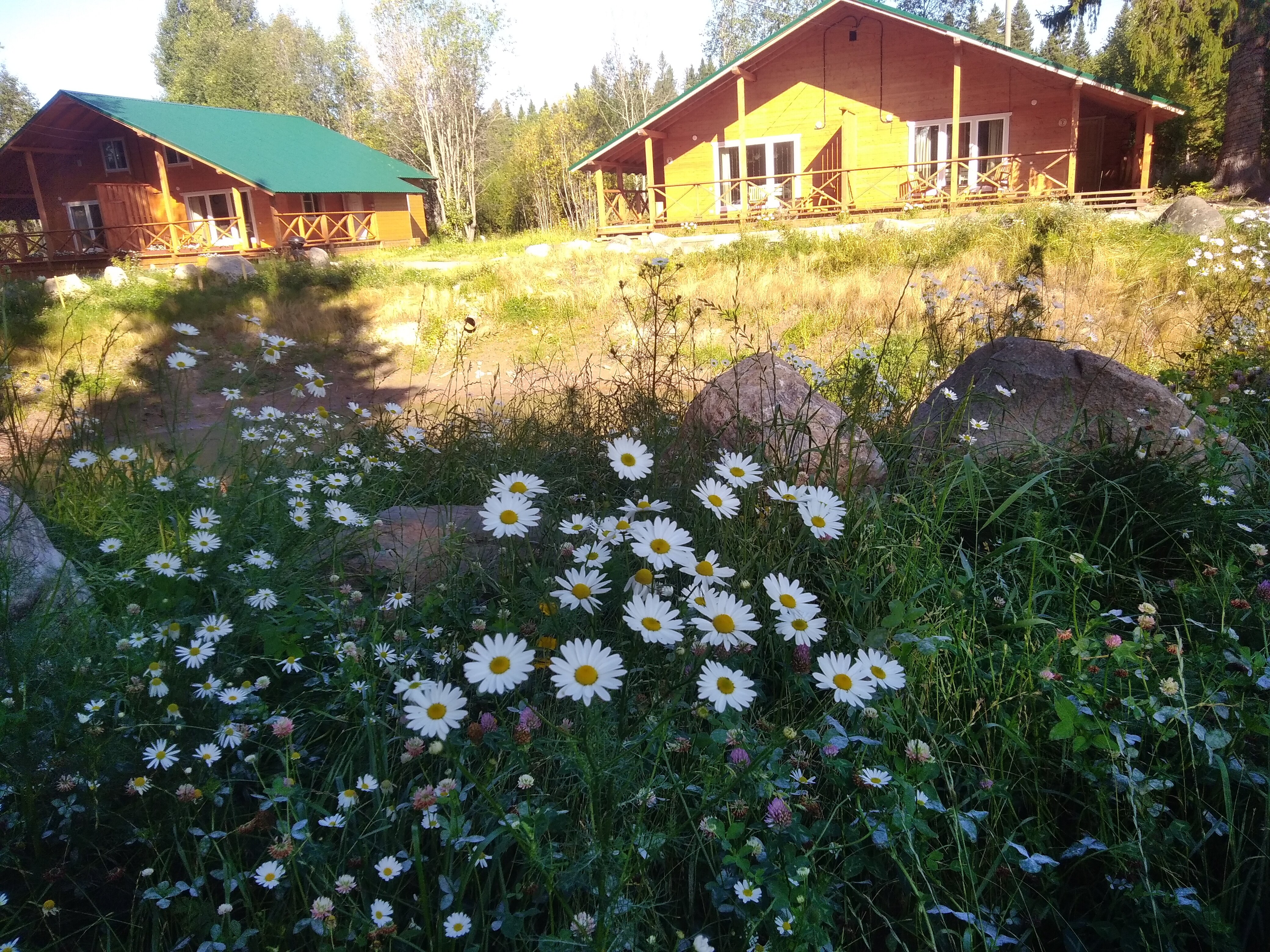 Фото Онежская гора