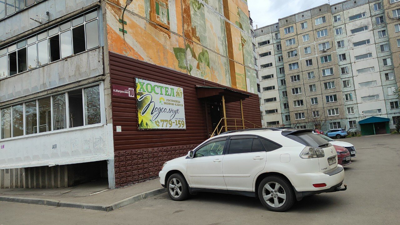 Фото Подсолнух