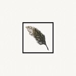 Black Quill (Rasskazovo, Pushkina Street, 64), tattoo studio