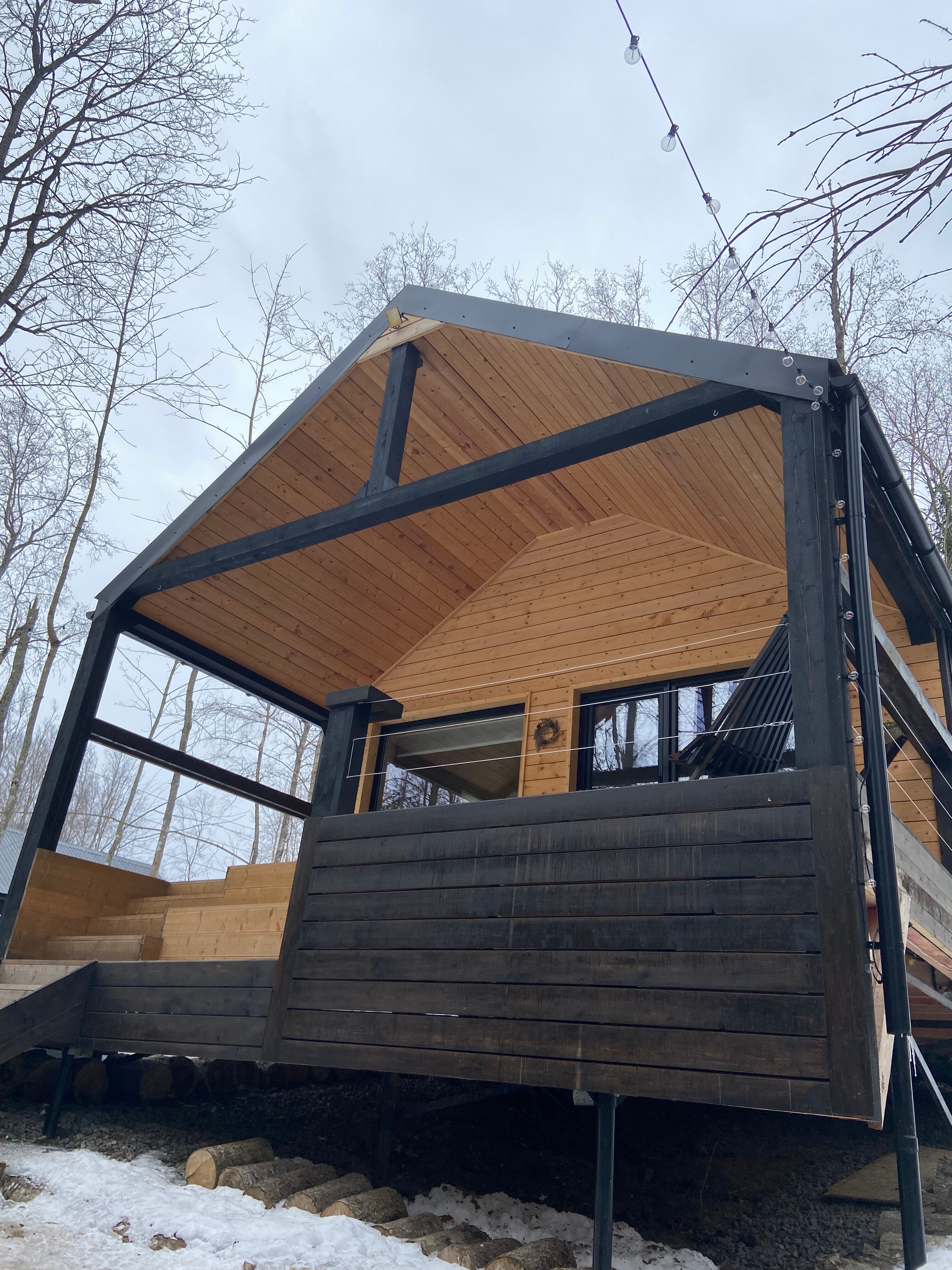 Фото Лес и Гора