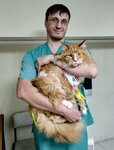 Korgy-vet (4th Vyatsky Lane, 16к1) ، عيادة بيطرية